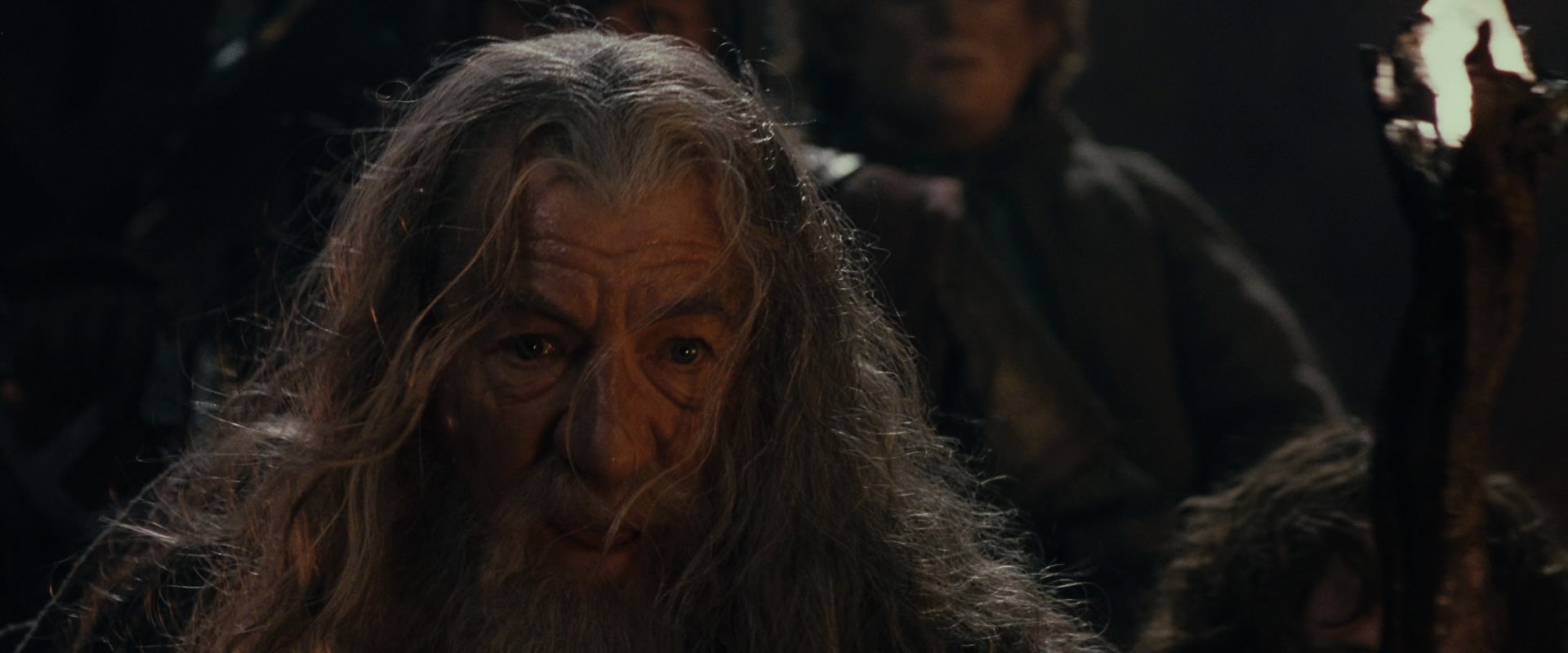 The Lord of the Rings: The Fellowship of the Ring (2001) screencap 16941