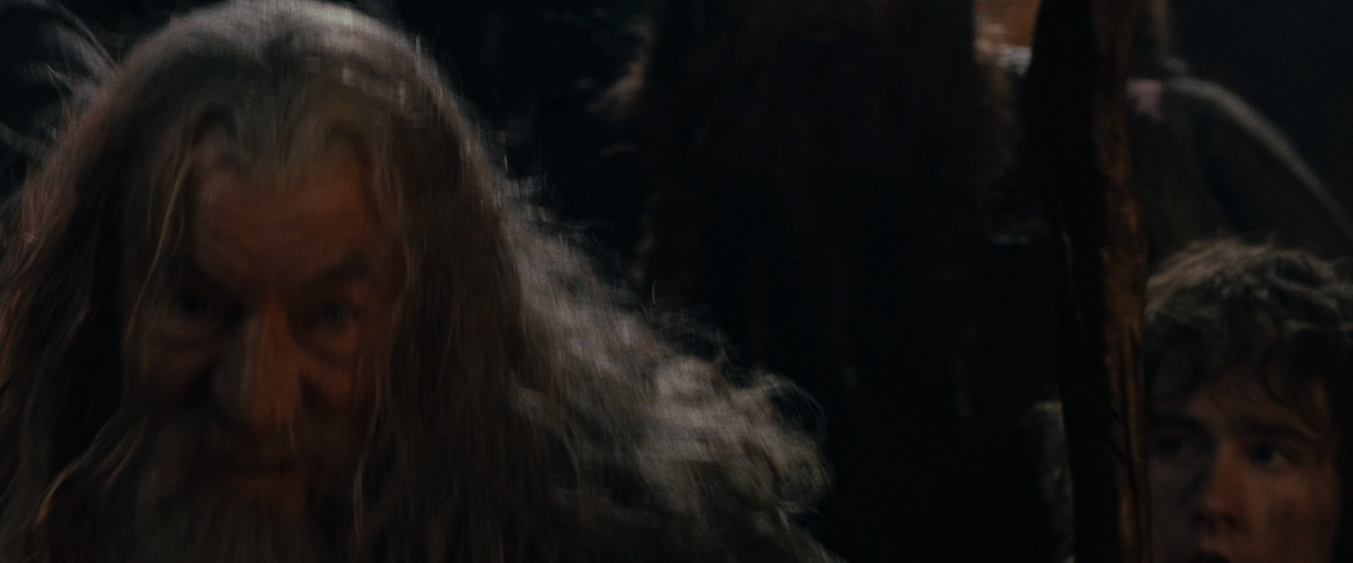 The Lord of the Rings: The Fellowship of the Ring (2001) HD screenshot 16943