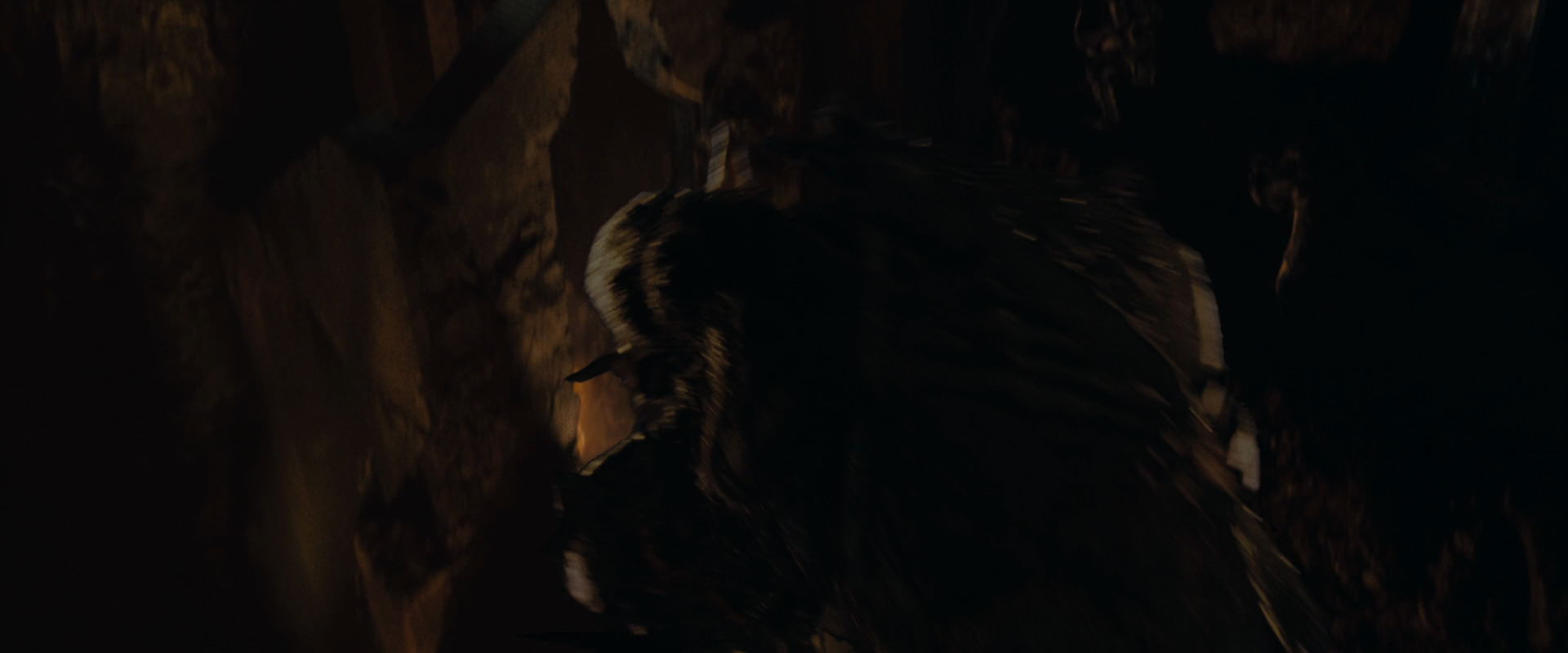 The Lord of the Rings: The Fellowship of the Ring (2001) HD screenshot 16973