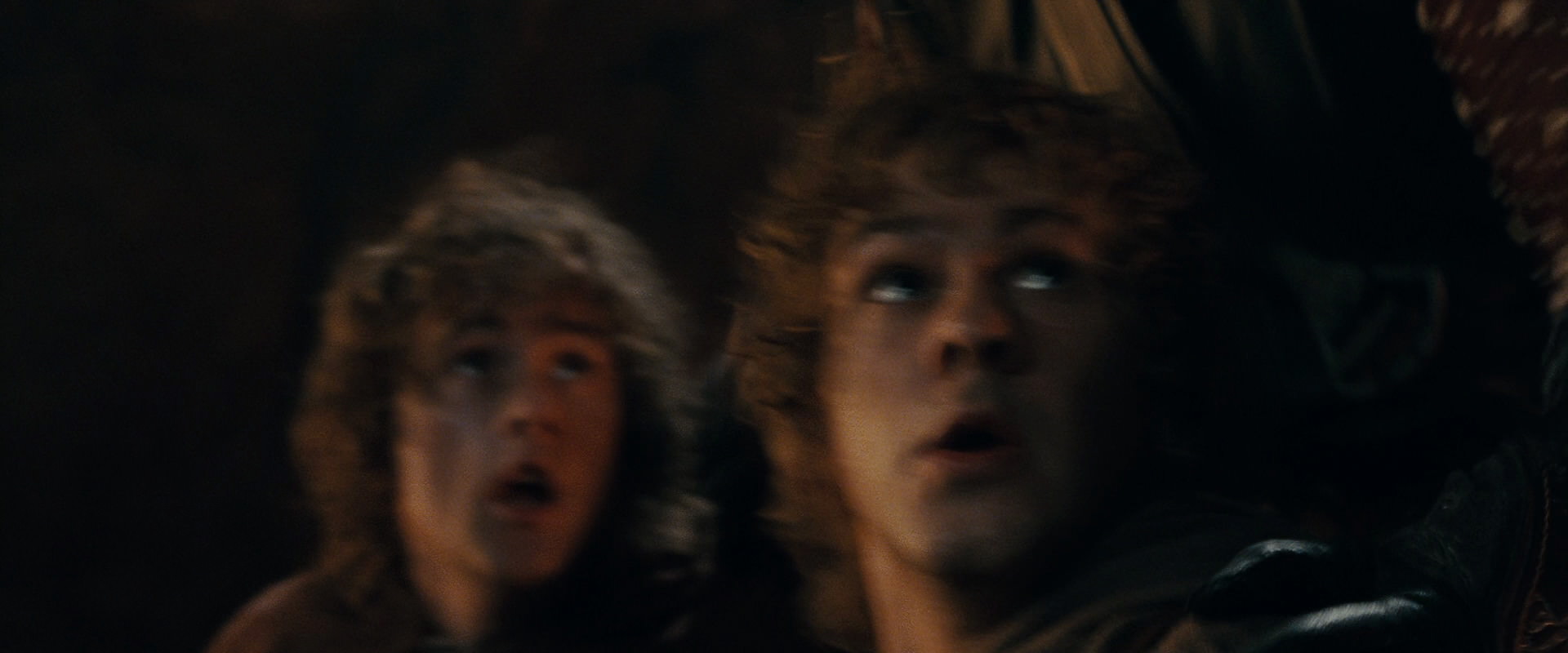 The Lord of the Rings: The Fellowship of the Ring (2001) screencap 16977