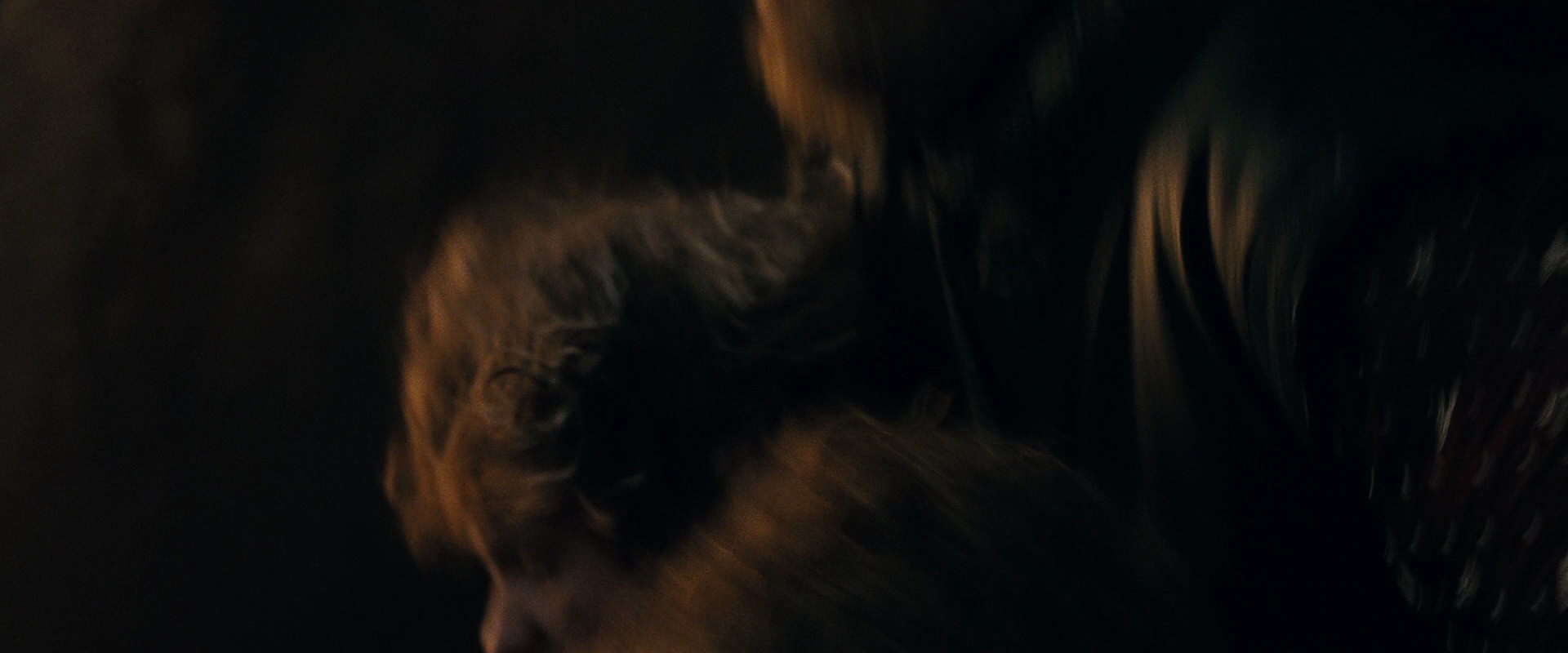 The Lord of the Rings: The Fellowship of the Ring (2001) HD screenshot 16979