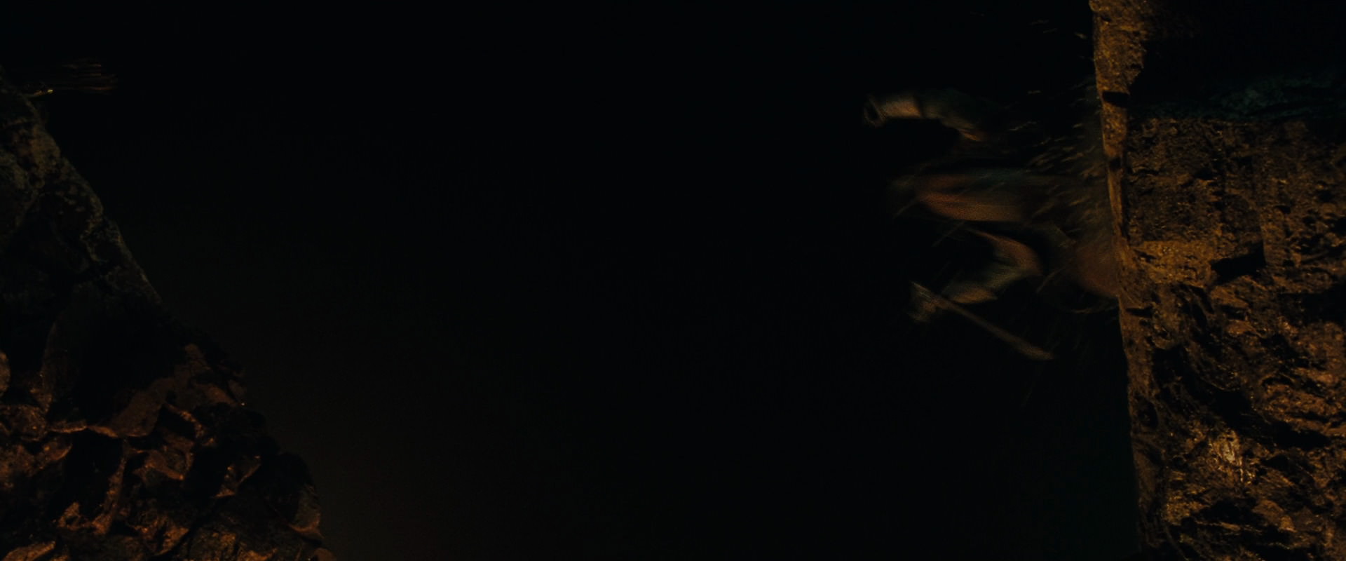 The Lord of the Rings: The Fellowship of the Ring (2001) HD screenshot 17018