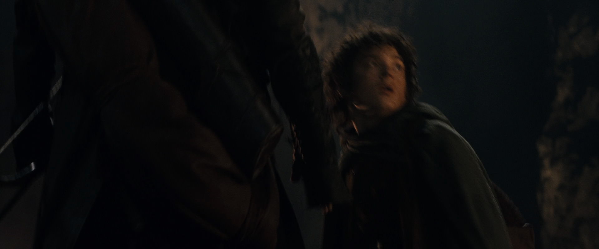 The Lord of the Rings: The Fellowship of the Ring (2001) screencap 17070