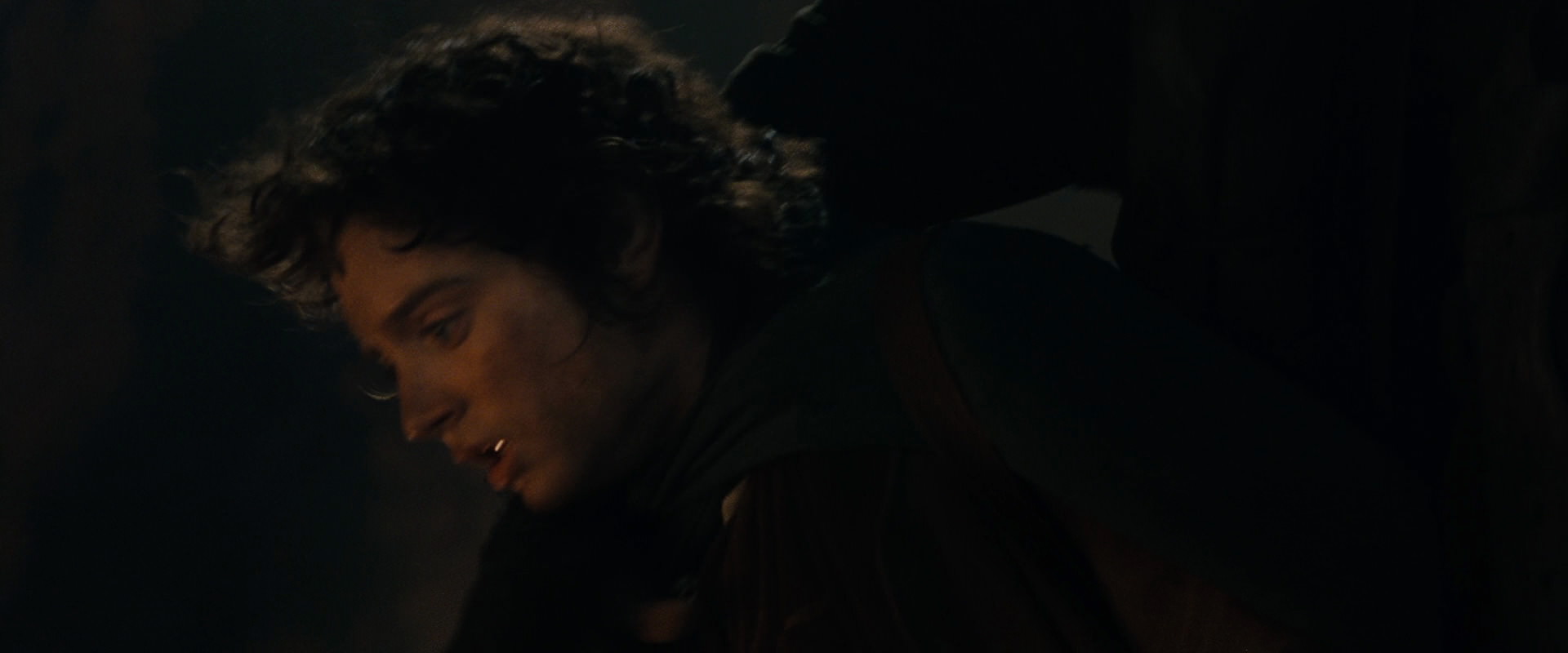 The Lord of the Rings: The Fellowship of the Ring (2001) screencap 17082