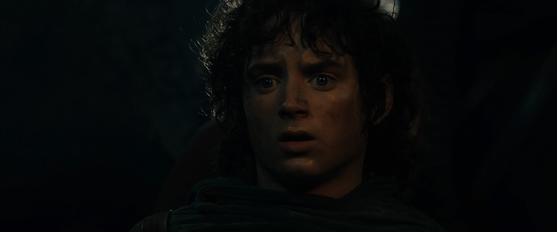 The Lord of the Rings: The Fellowship of the Ring (2001) movie still 17329
