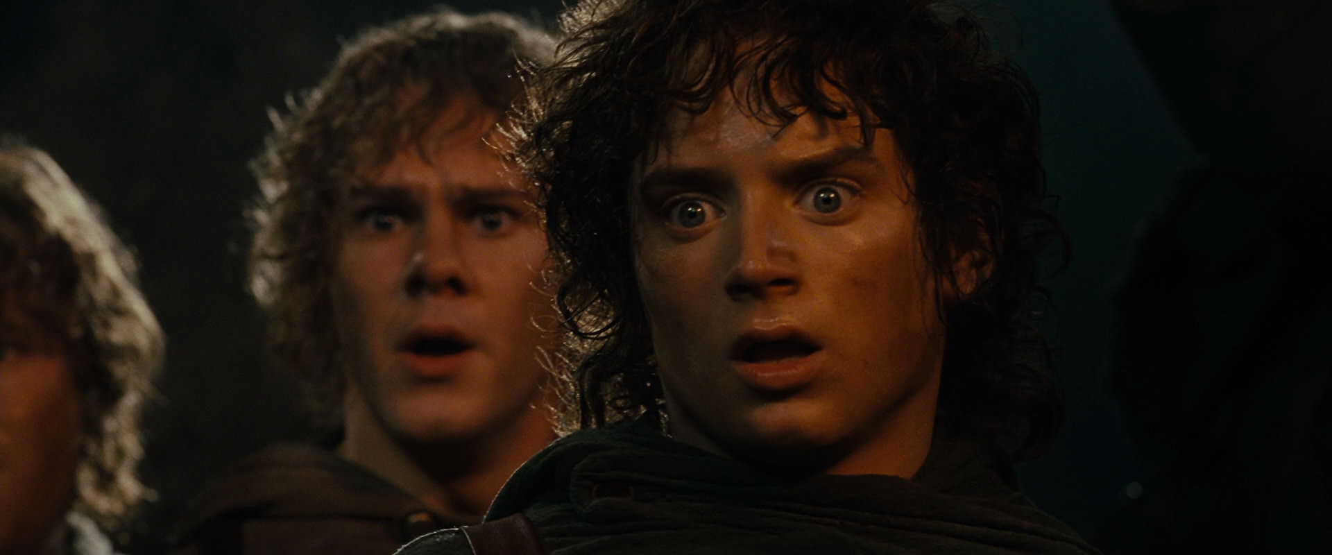 The Lord of the Rings: The Fellowship of the Ring (2001) HD screenshot 17345