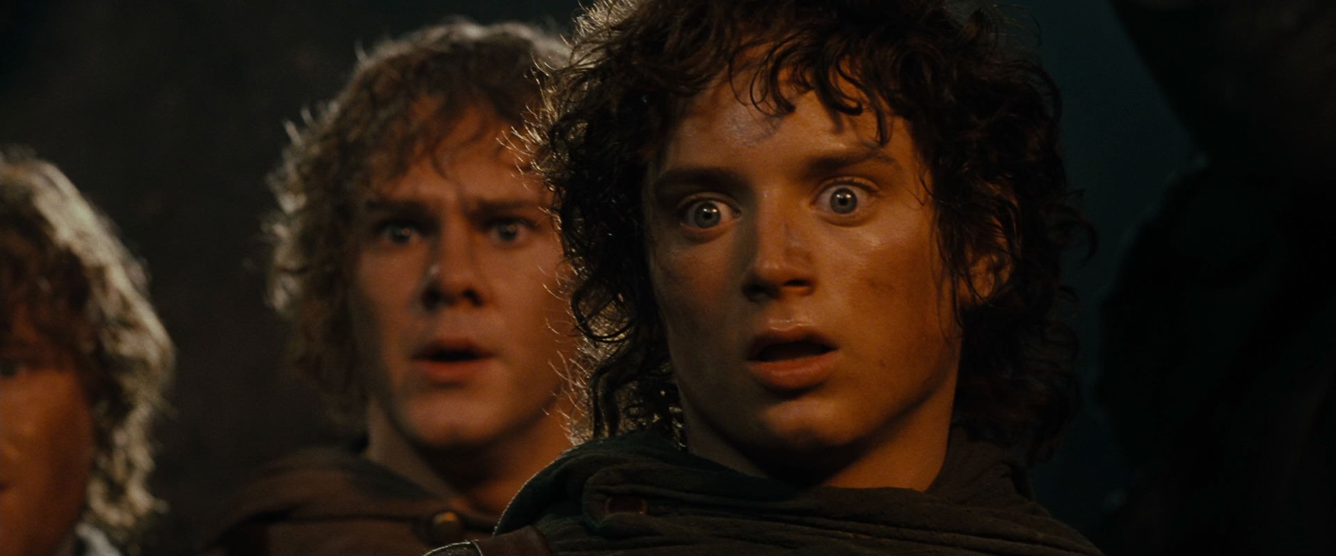 The Lord of the Rings: The Fellowship of the Ring (2001) screencap 17385