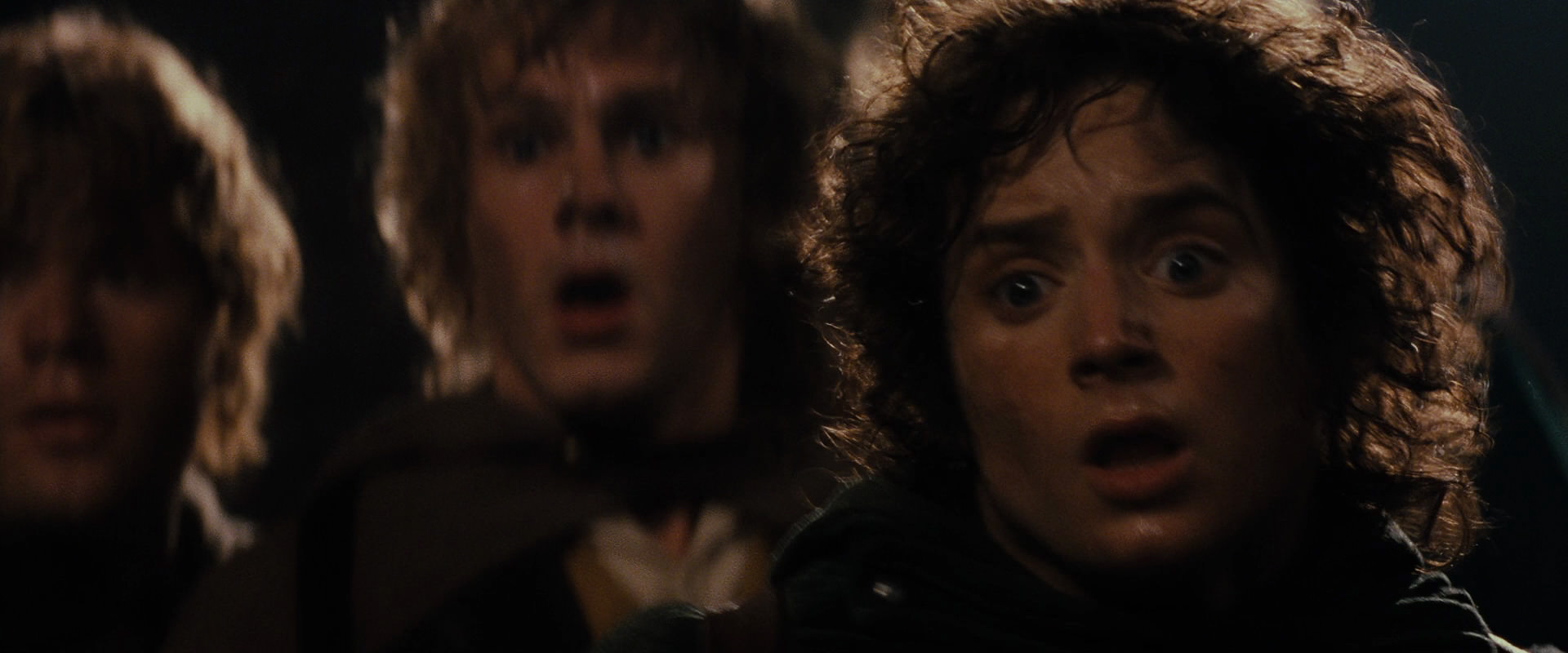The Lord of the Rings: The Fellowship of the Ring (2001) screencap 17415