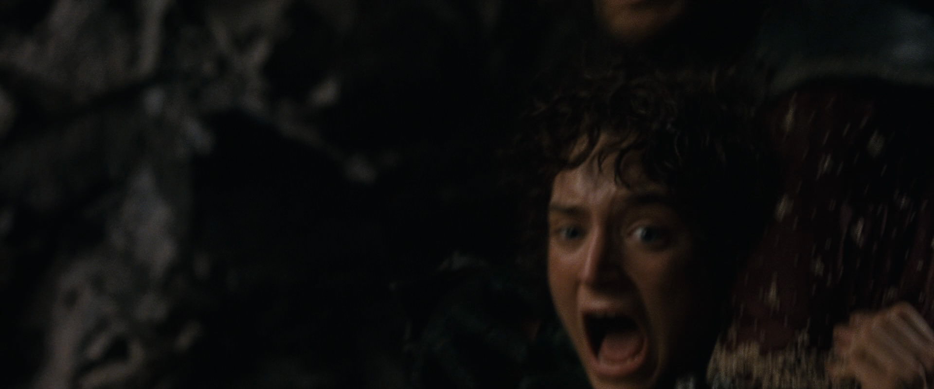 The Lord of the Rings: The Fellowship of the Ring (2001) screencap 17424