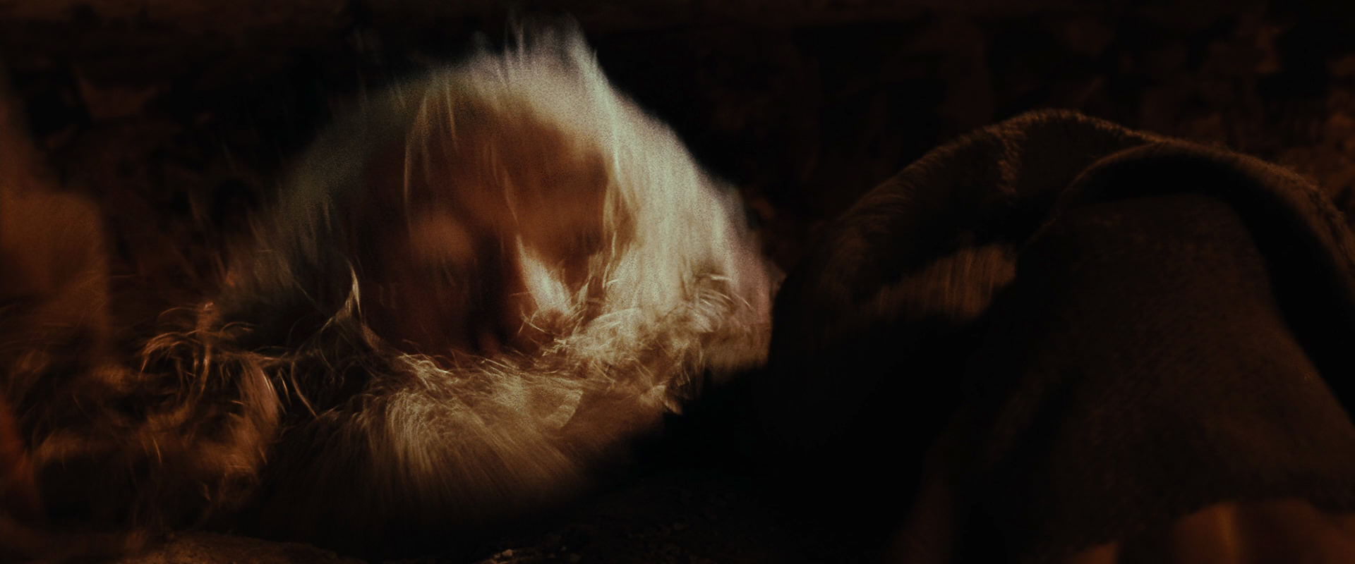 The Lord of the Rings: The Fellowship of the Ring (2001) movie still 17446