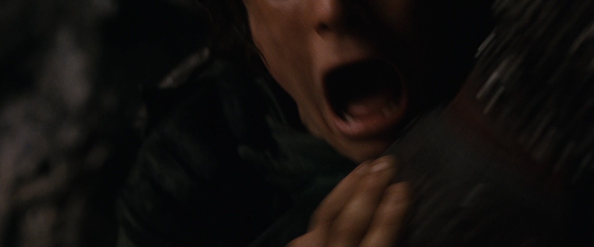 The Lord of the Rings: The Fellowship of the Ring (2001) screencap 17457