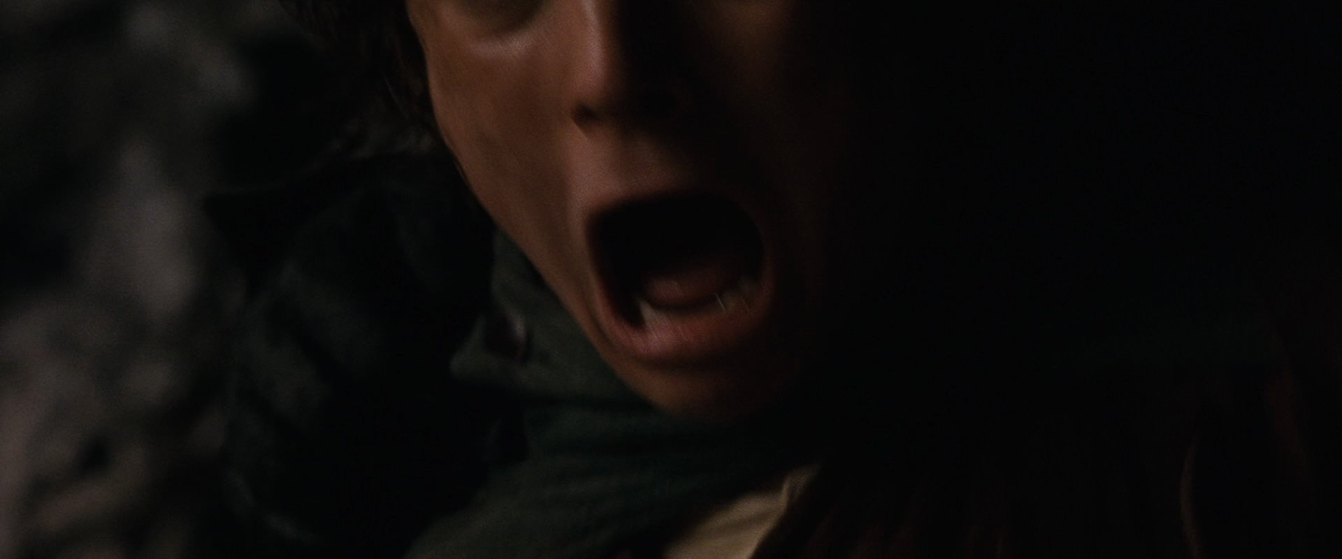 The Lord of the Rings: The Fellowship of the Ring (2001) movie still 17458