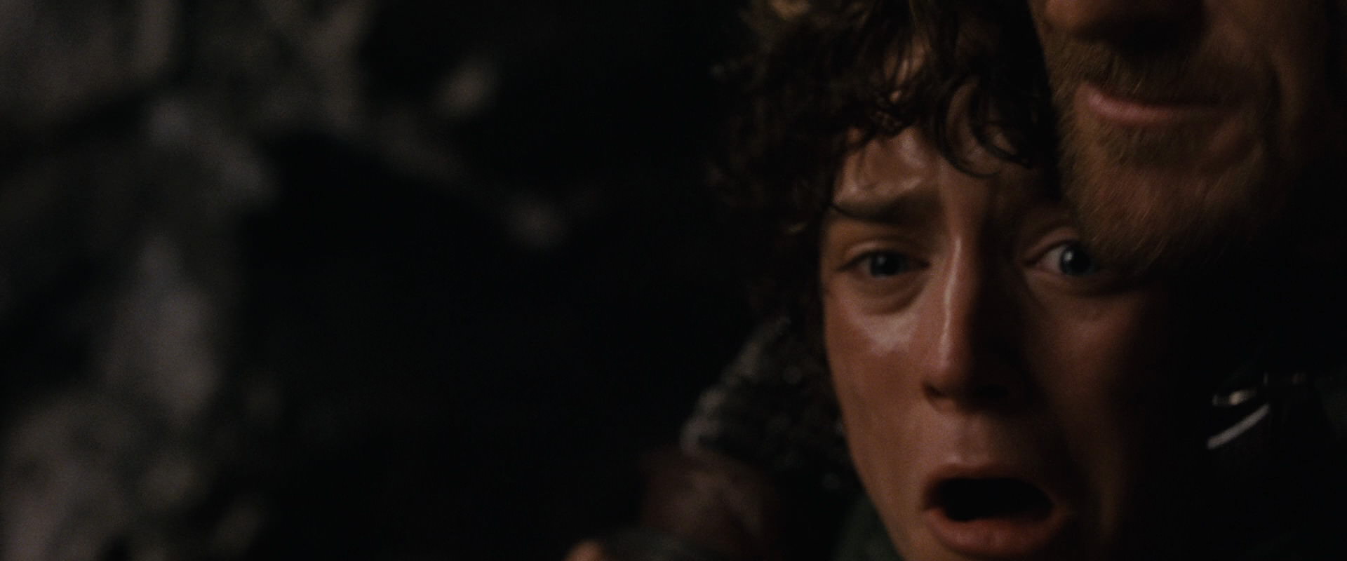 The Lord of the Rings: The Fellowship of the Ring (2001) screencap 17460