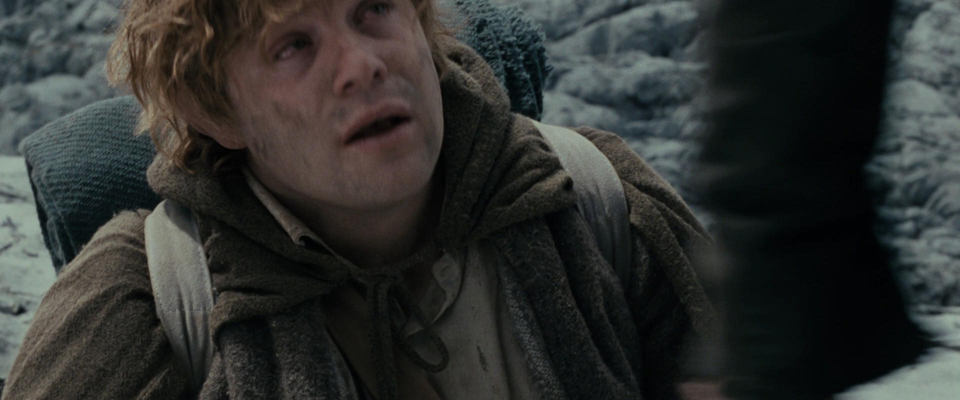 The Lord of the Rings: The Fellowship of the Ring (2001) movie still 17632