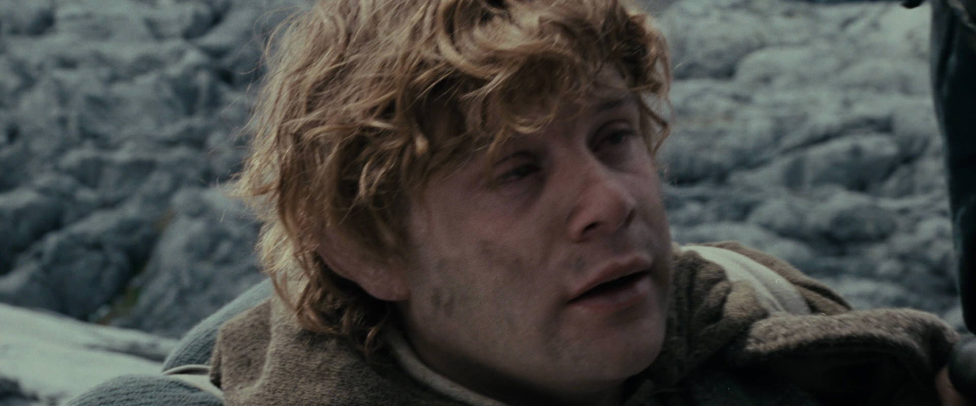 The Lord of the Rings: The Fellowship of the Ring (2001) HD screenshot 17636