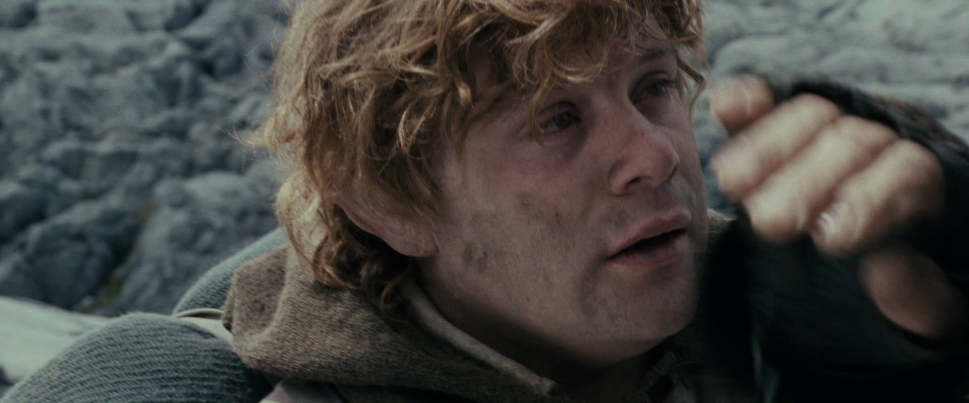 The Lord of the Rings: The Fellowship of the Ring (2001) screencap 17637