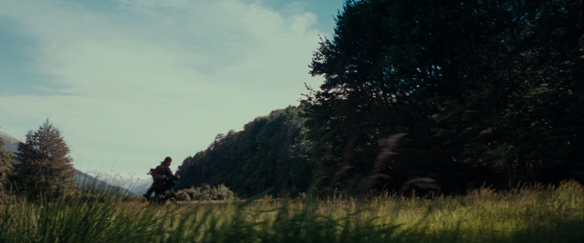 The Lord of the Rings: The Fellowship of the Ring (2001) screencap 17715