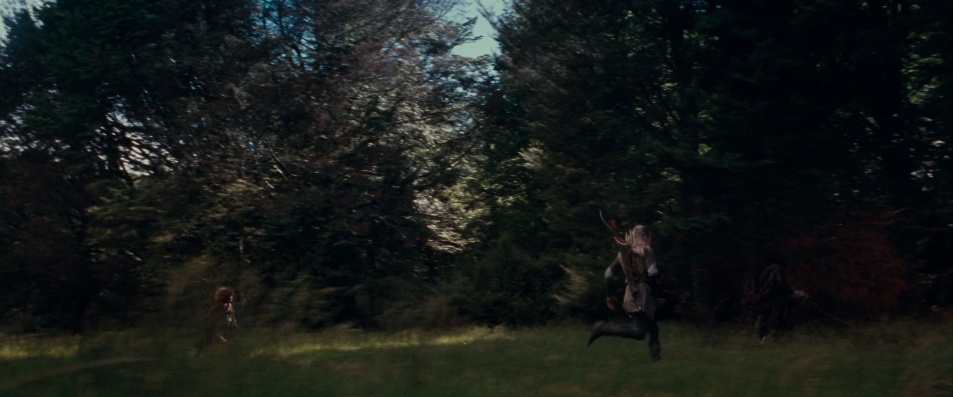 The Lord of the Rings: The Fellowship of the Ring (2001) HD screenshot 17726
