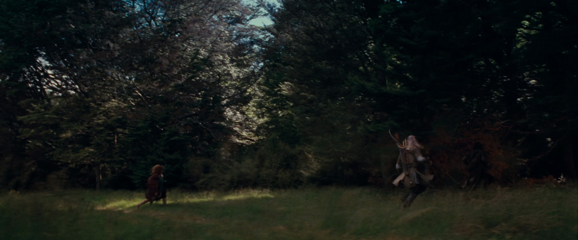The Lord of the Rings: The Fellowship of the Ring (2001) screencap 17727