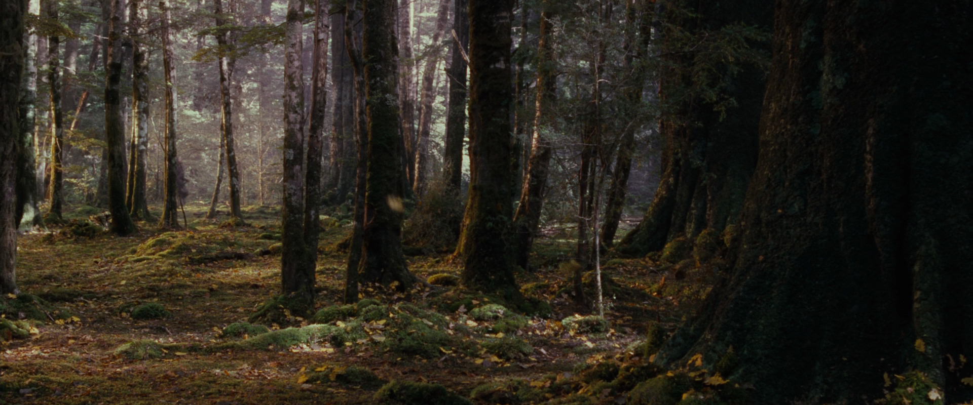 The Lord of the Rings: The Fellowship of the Ring (2001) HD screenshot 17729