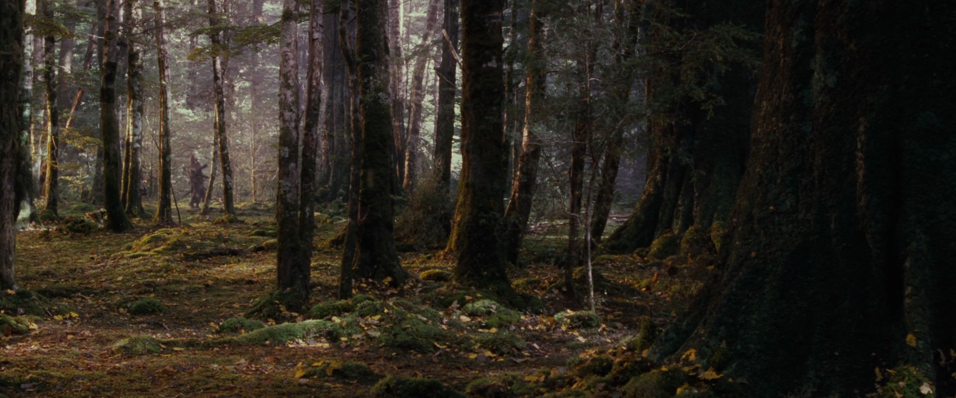 The Lord of the Rings: The Fellowship of the Ring (2001) screencap 17730