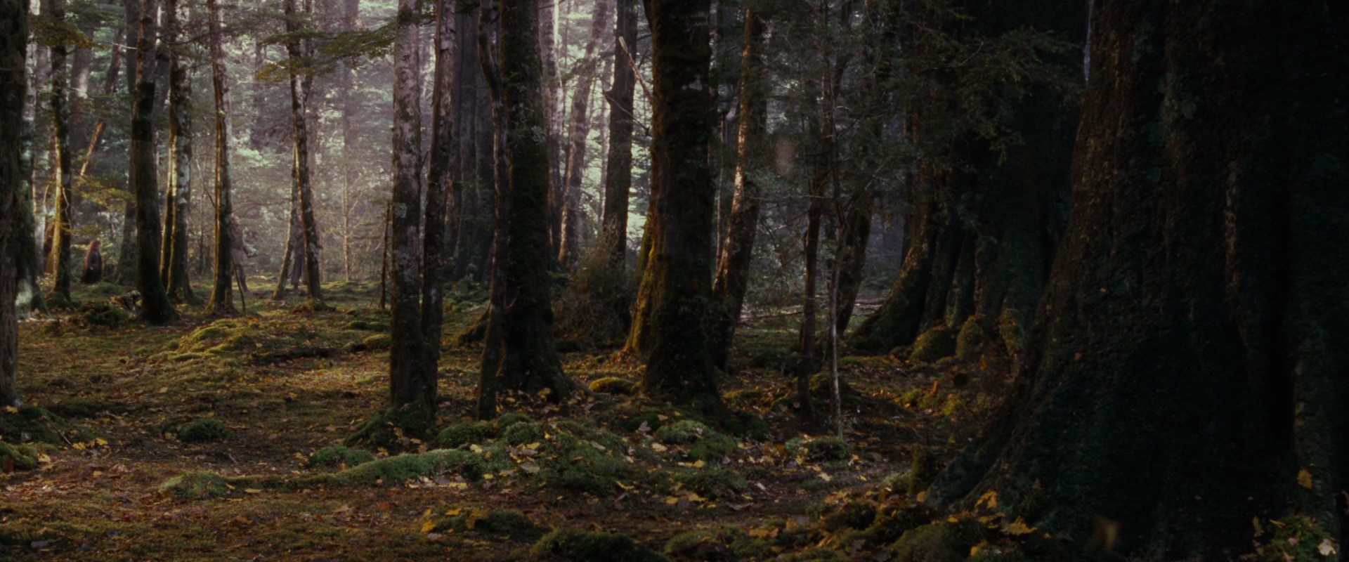 The Lord of the Rings: The Fellowship of the Ring (2001) HD screenshot 17732