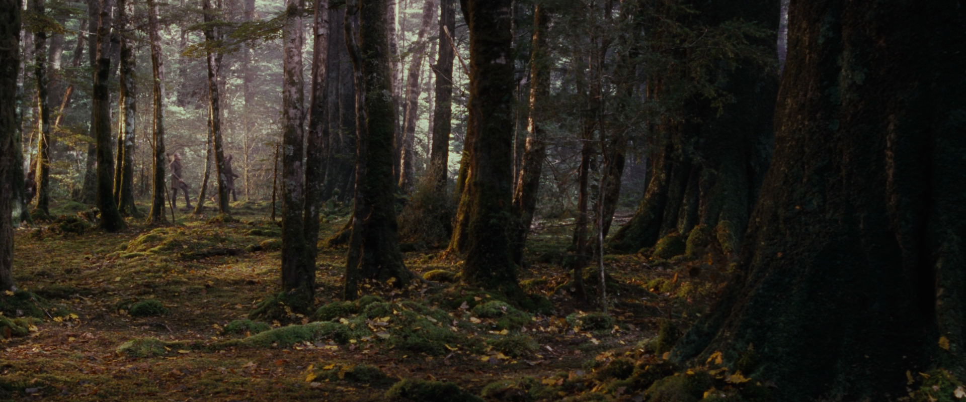 The Lord of the Rings: The Fellowship of the Ring (2001) screencap 17733