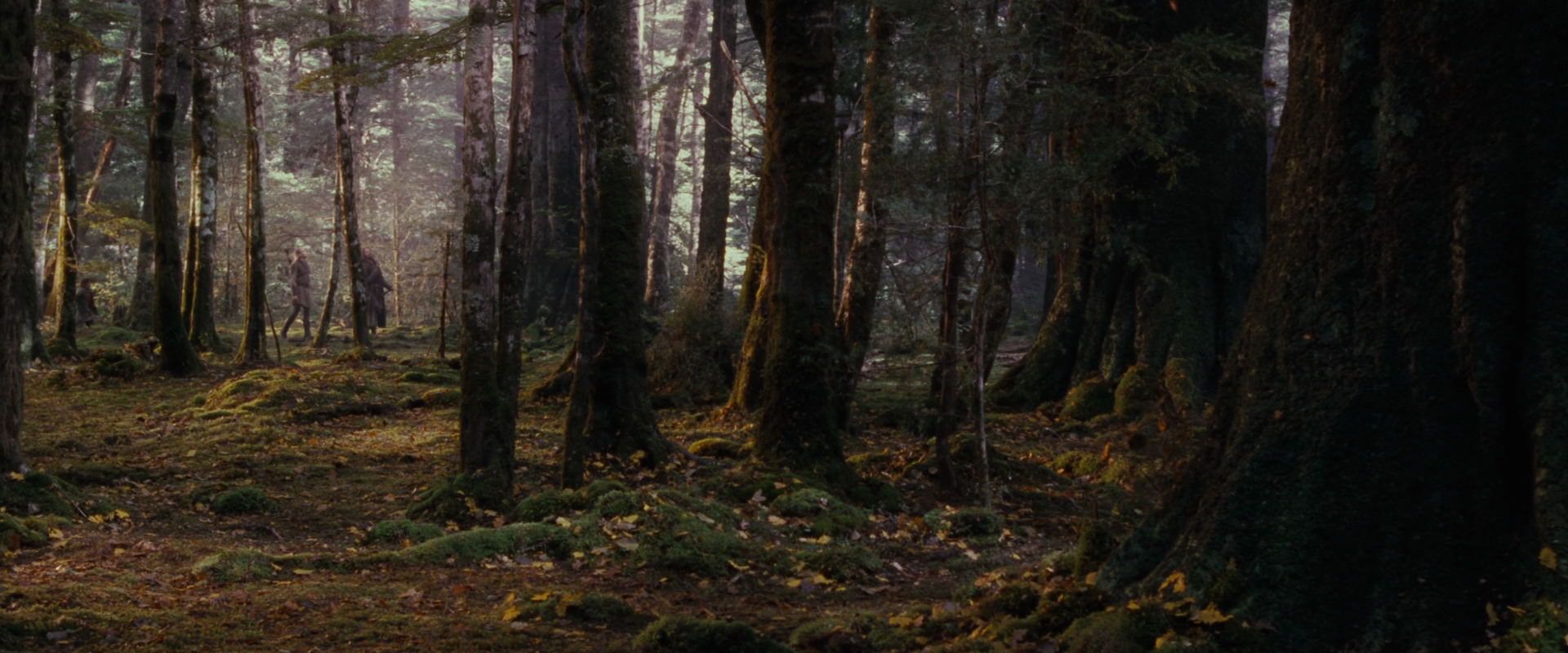The Lord of the Rings: The Fellowship of the Ring (2001) movie still 17734