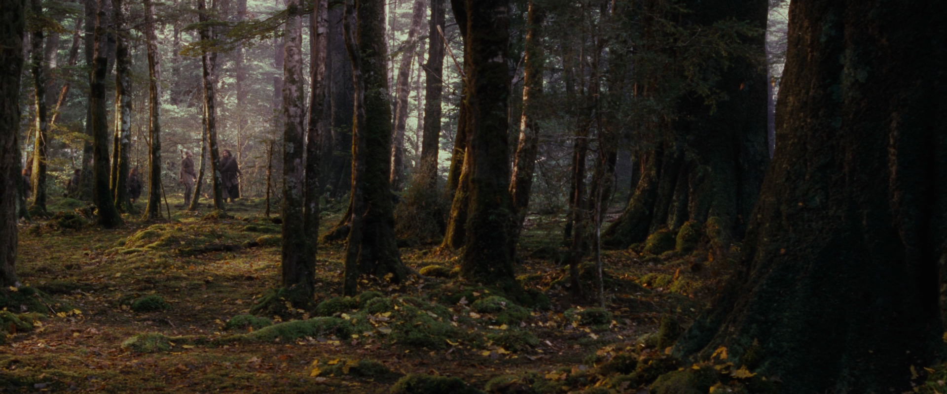 The Lord of the Rings: The Fellowship of the Ring (2001) HD screenshot 17735
