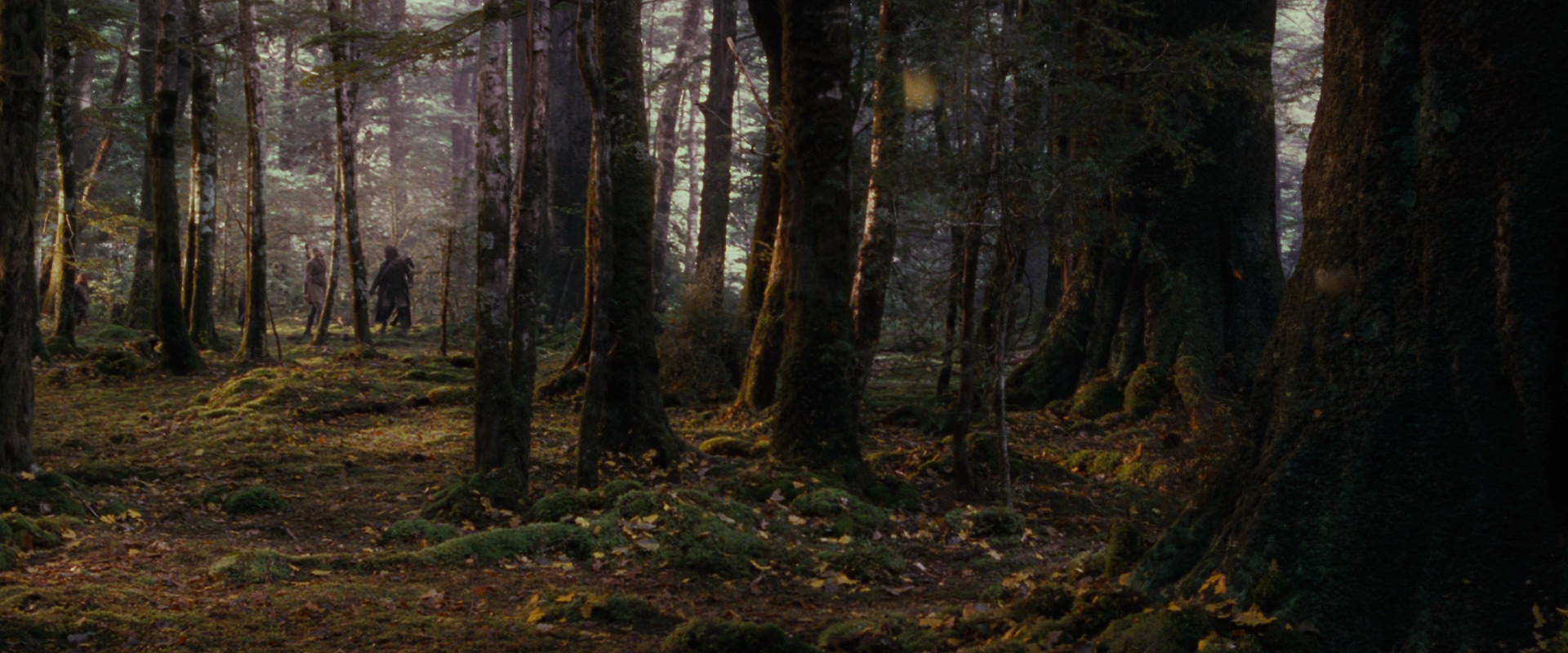 The Lord of the Rings: The Fellowship of the Ring (2001) screencap 17736