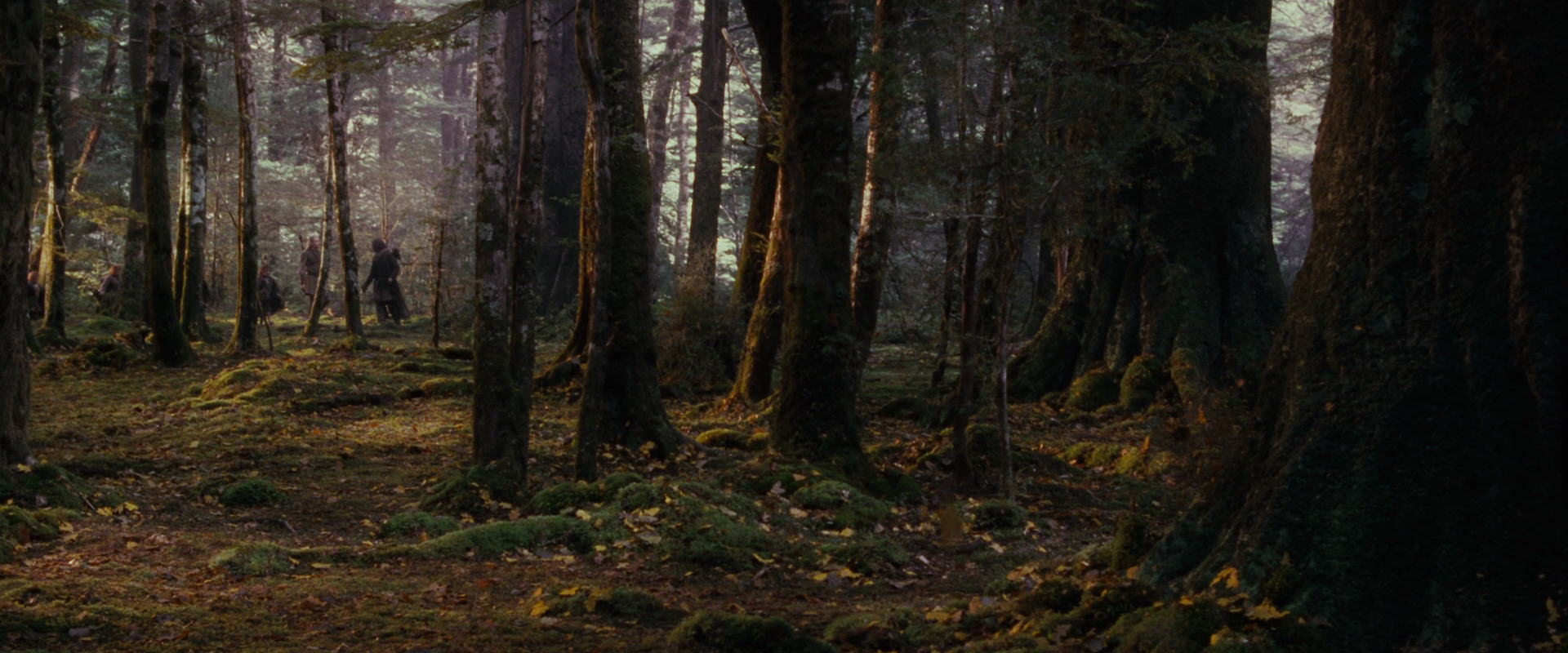 The Lord of the Rings: The Fellowship of the Ring (2001) movie still 17737