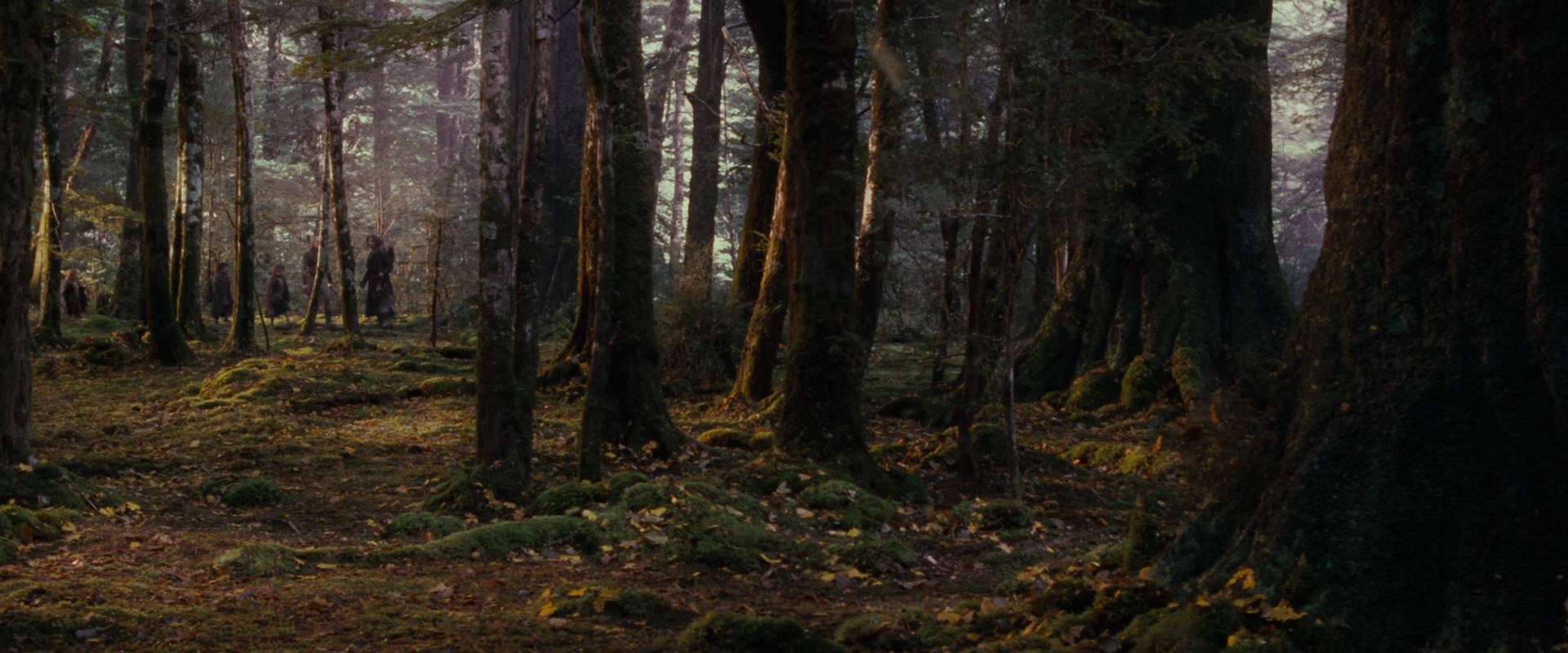 The Lord of the Rings: The Fellowship of the Ring (2001) HD screenshot 17738