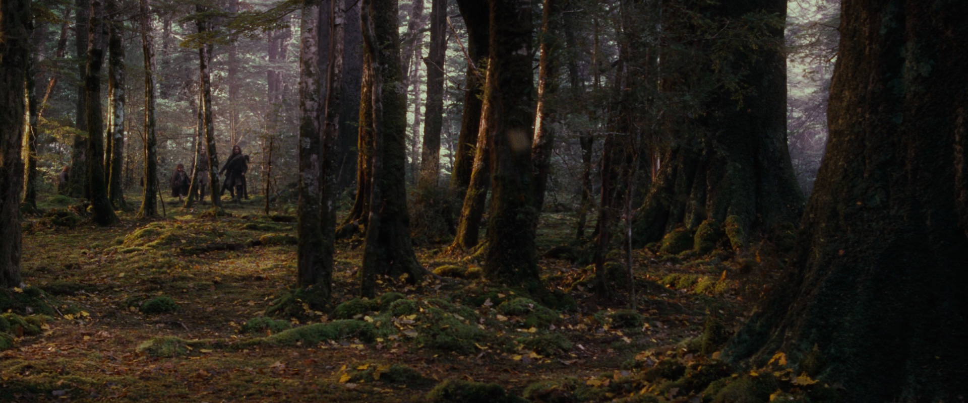 The Lord of the Rings: The Fellowship of the Ring (2001) screencap 17739