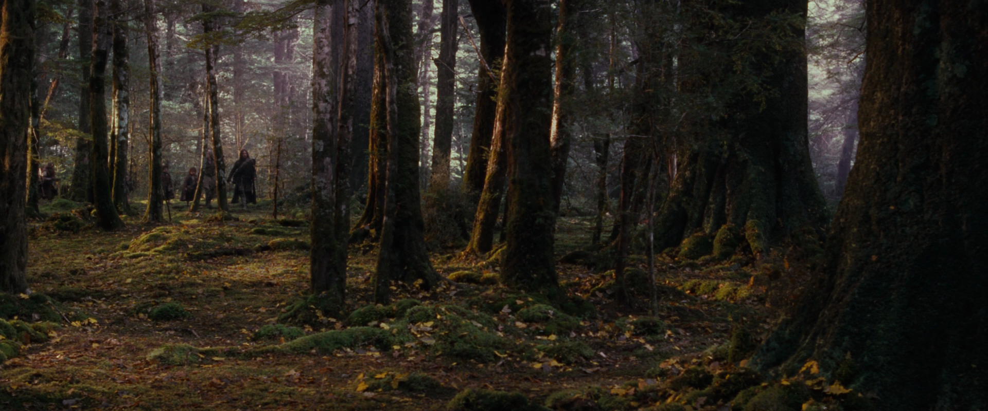 The Lord of the Rings: The Fellowship of the Ring (2001) movie still 17740