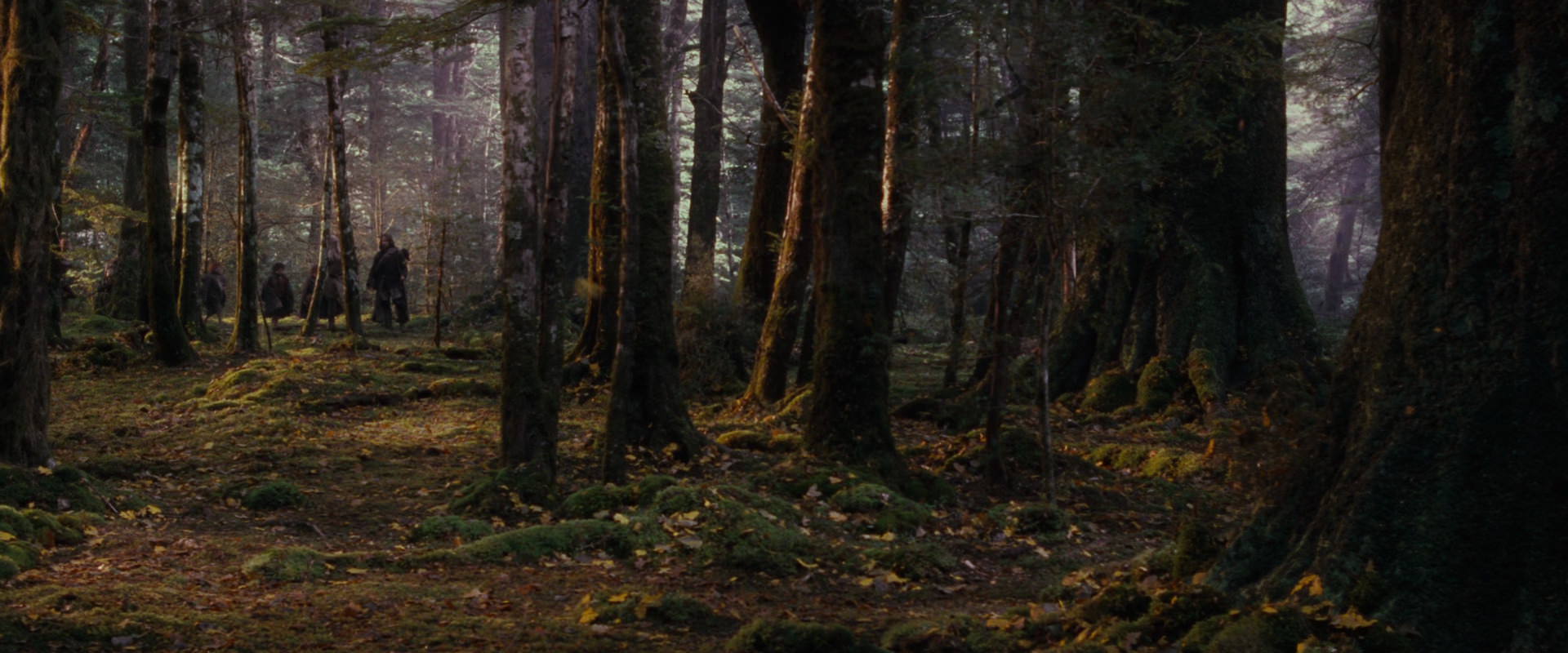 The Lord of the Rings: The Fellowship of the Ring (2001) HD screenshot 17741