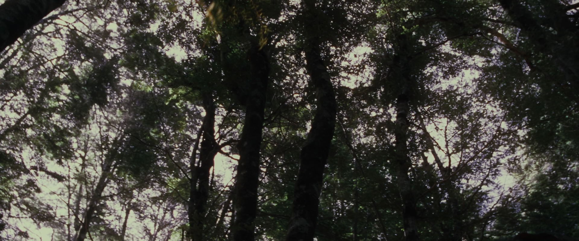 The Lord of the Rings: The Fellowship of the Ring (2001) HD screenshot 17747