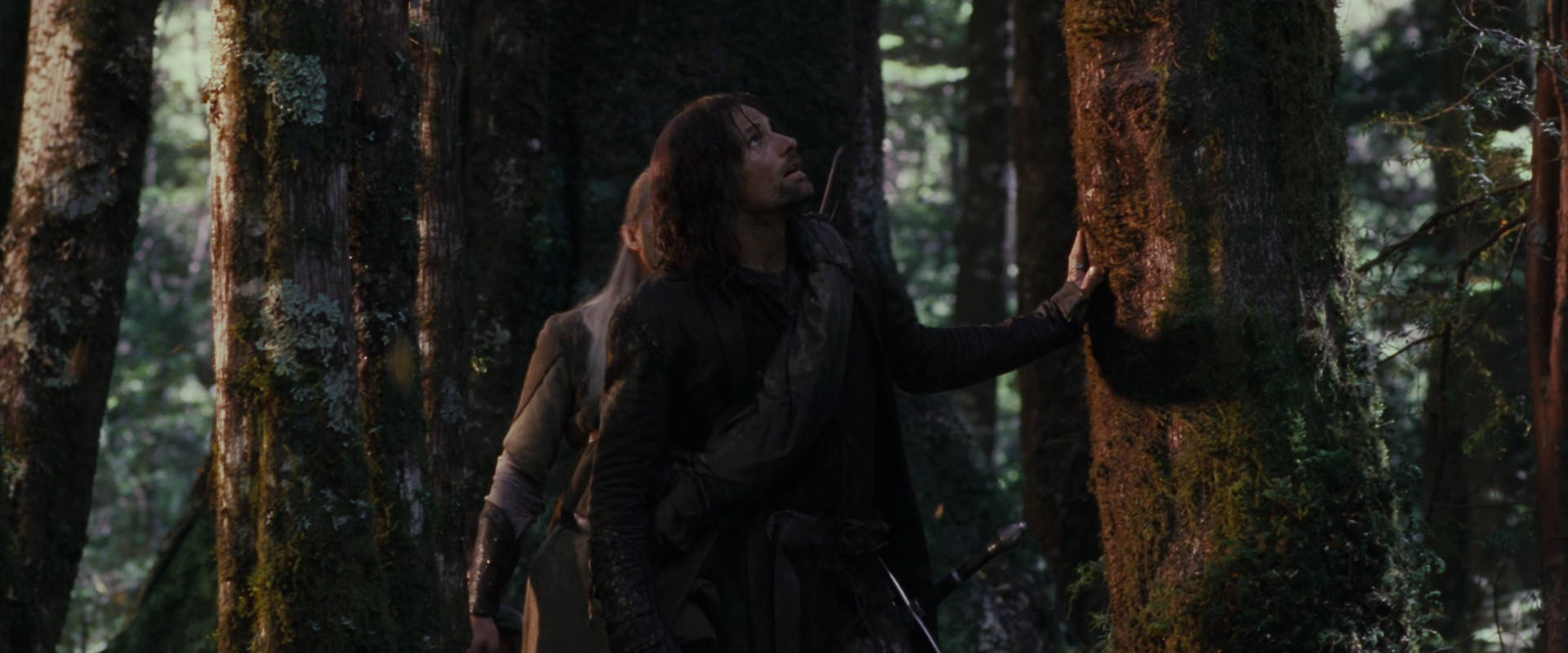 The Lord of the Rings: The Fellowship of the Ring (2001) movie still 17749