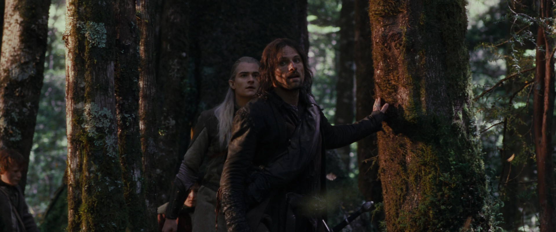 The Lord of the Rings: The Fellowship of the Ring (2001) HD screenshot 17750