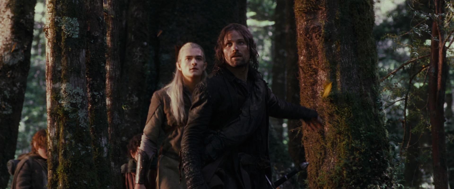 The Lord of the Rings: The Fellowship of the Ring (2001) screencap 17751