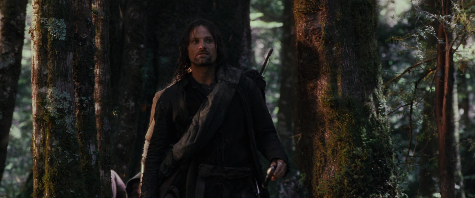 The Lord of the Rings: The Fellowship of the Ring (2001) HD screenshot 17753