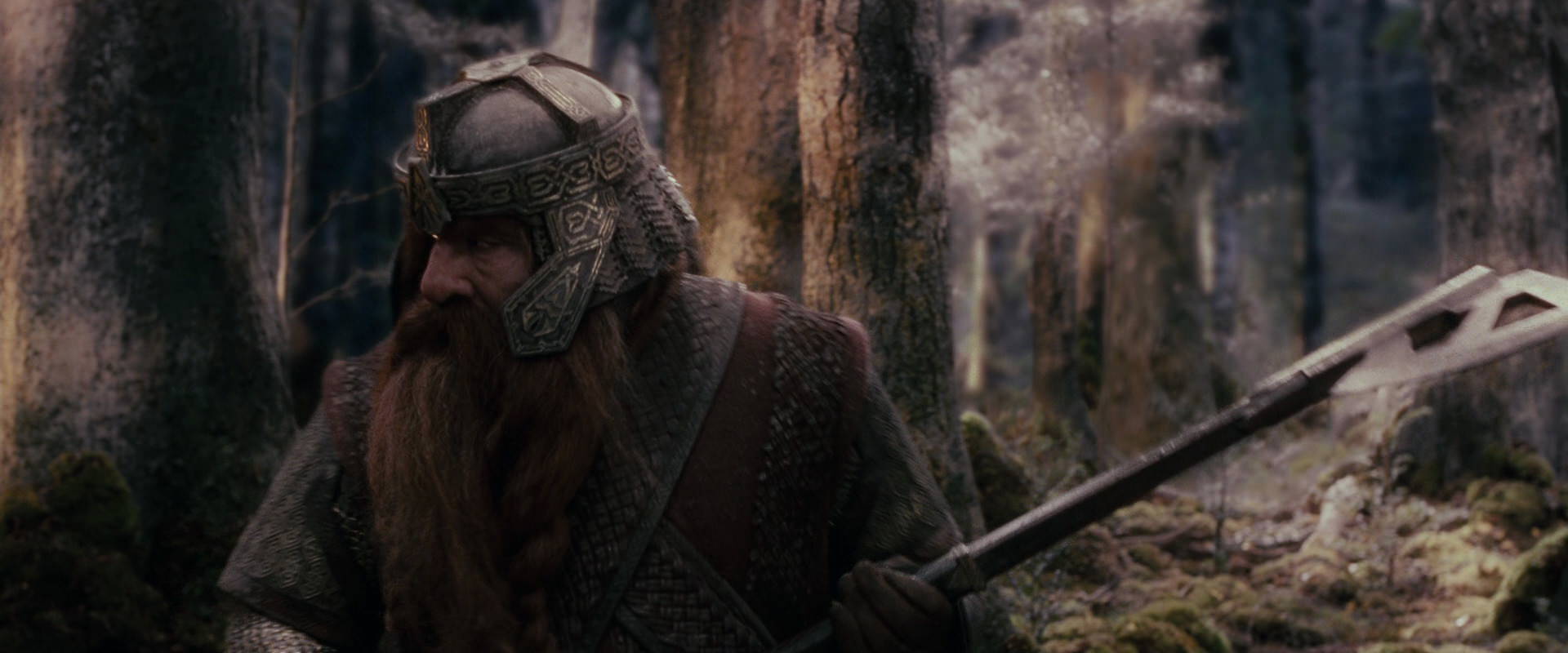 The Lord of the Rings: The Fellowship of the Ring (2001) screencap 17754