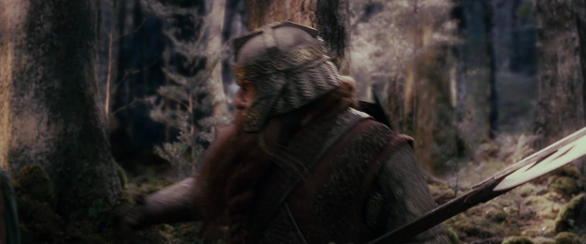The Lord of the Rings: The Fellowship of the Ring (2001) movie still 17755