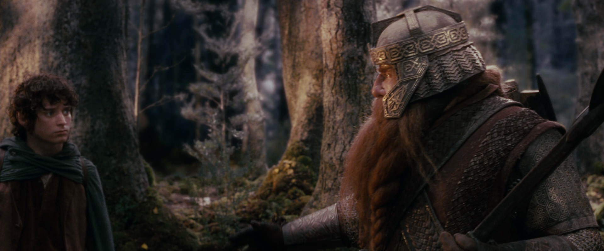 The Lord of the Rings: The Fellowship of the Ring (2001) HD screenshot 17756