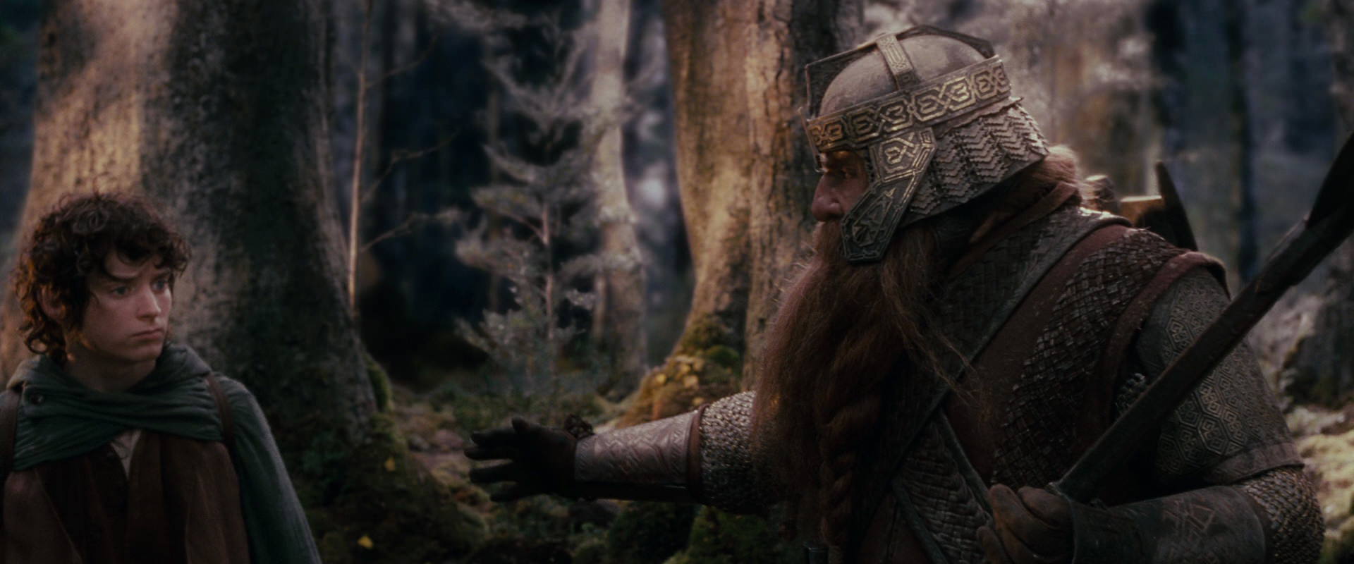 The Lord of the Rings: The Fellowship of the Ring (2001) screencap 17757