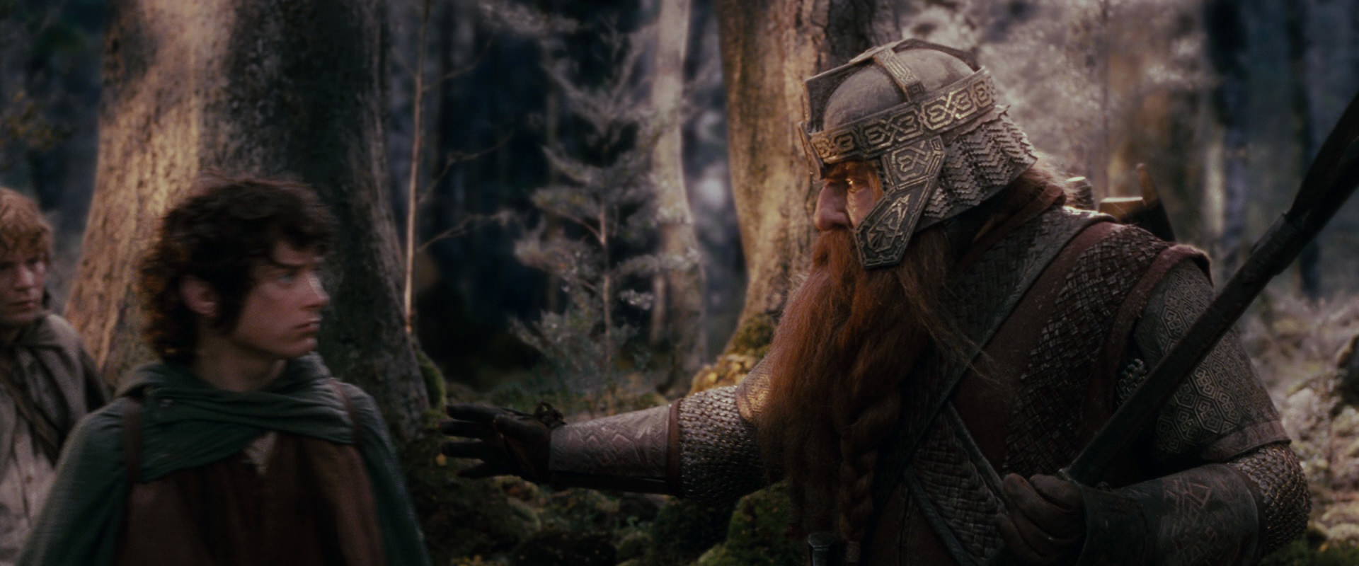 The Lord of the Rings: The Fellowship of the Ring (2001) movie still 17758