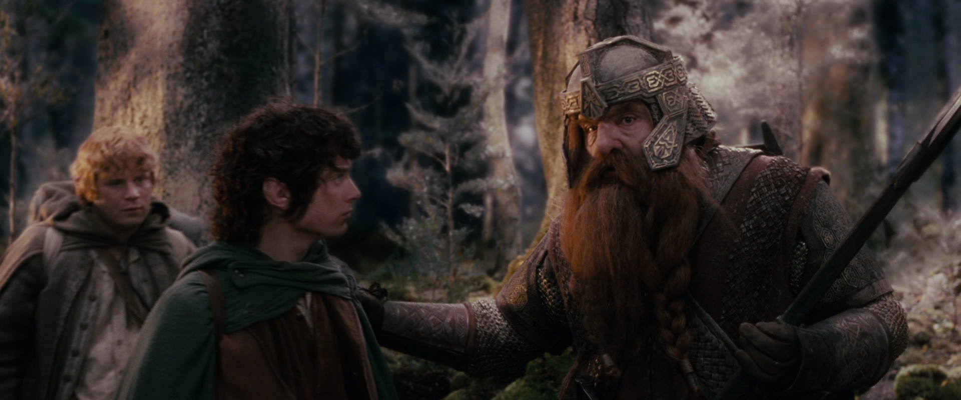 The Lord of the Rings: The Fellowship of the Ring (2001) HD screenshot 17759