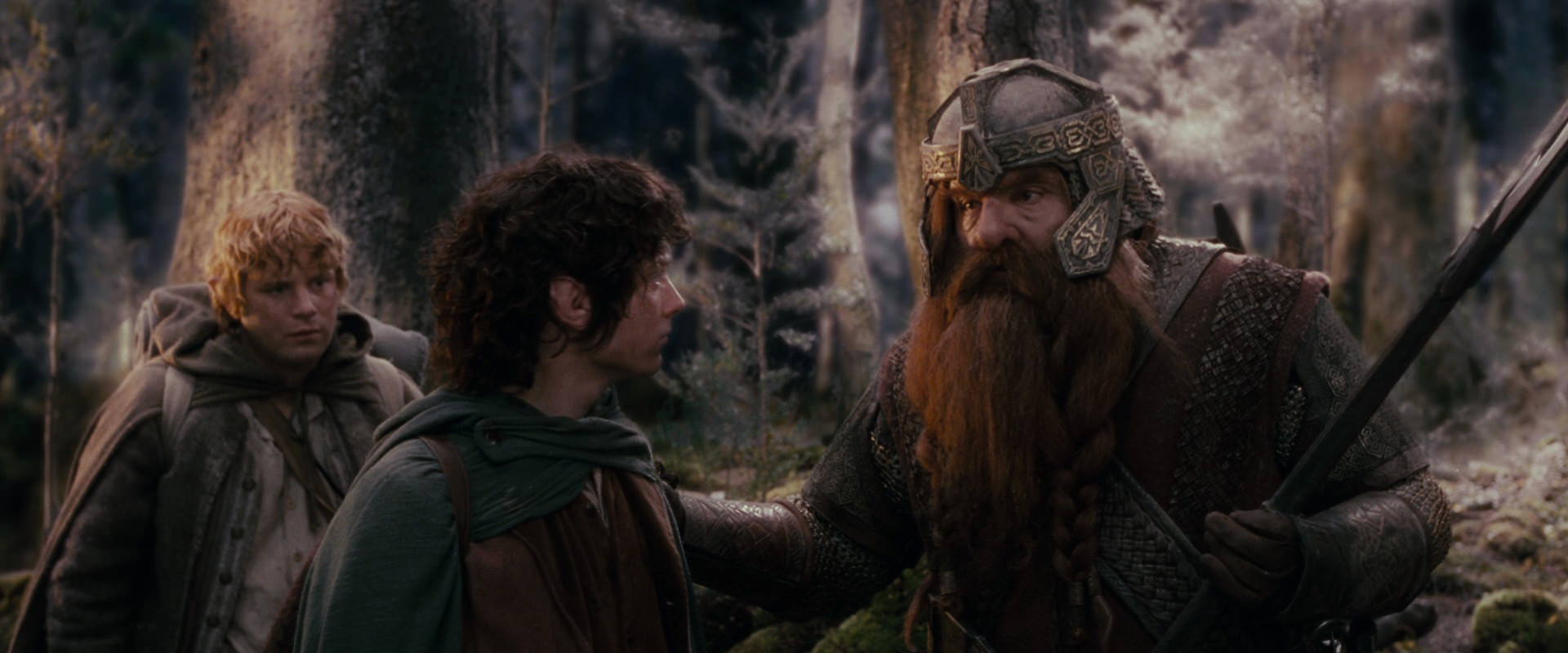 The Lord of the Rings: The Fellowship of the Ring (2001) screencap 17760