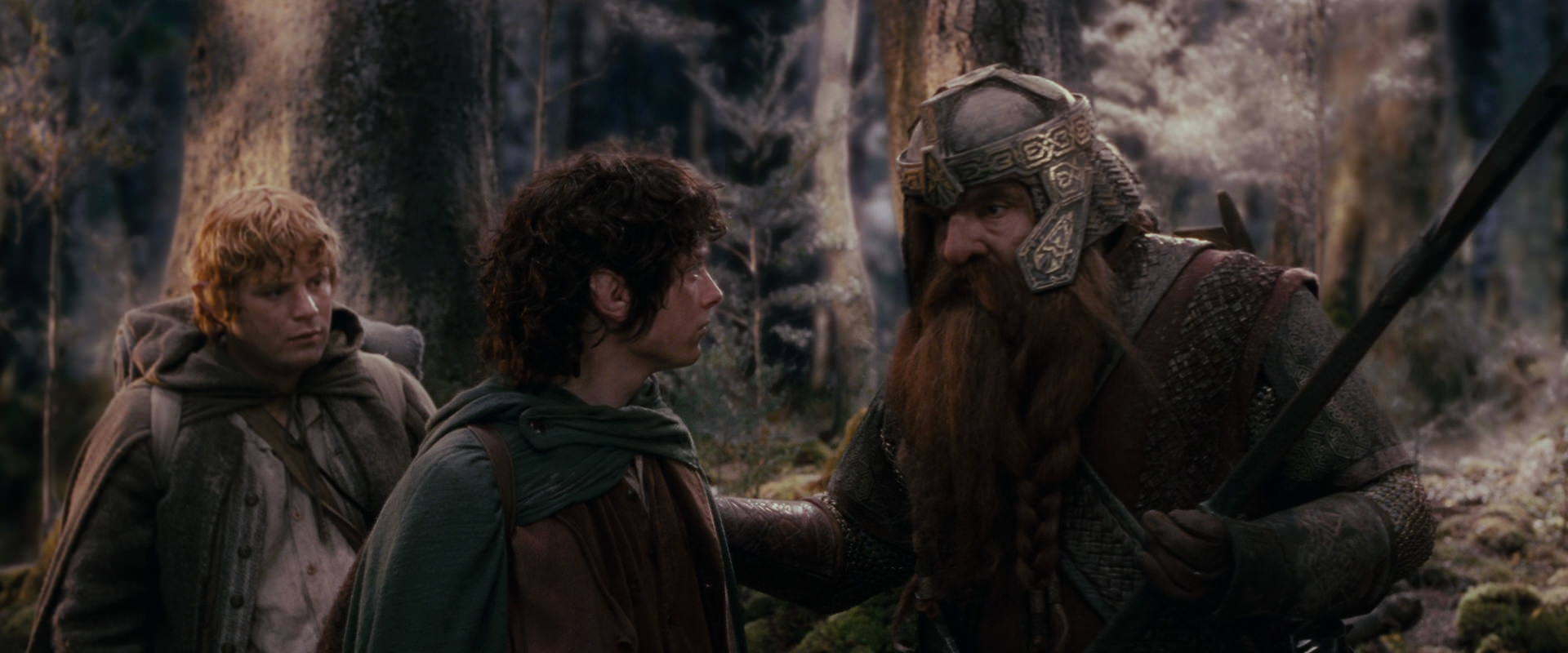 The Lord of the Rings: The Fellowship of the Ring (2001) movie still 17761