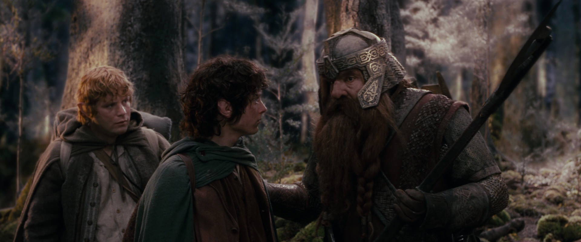 The Lord of the Rings: The Fellowship of the Ring (2001) HD screenshot 17762