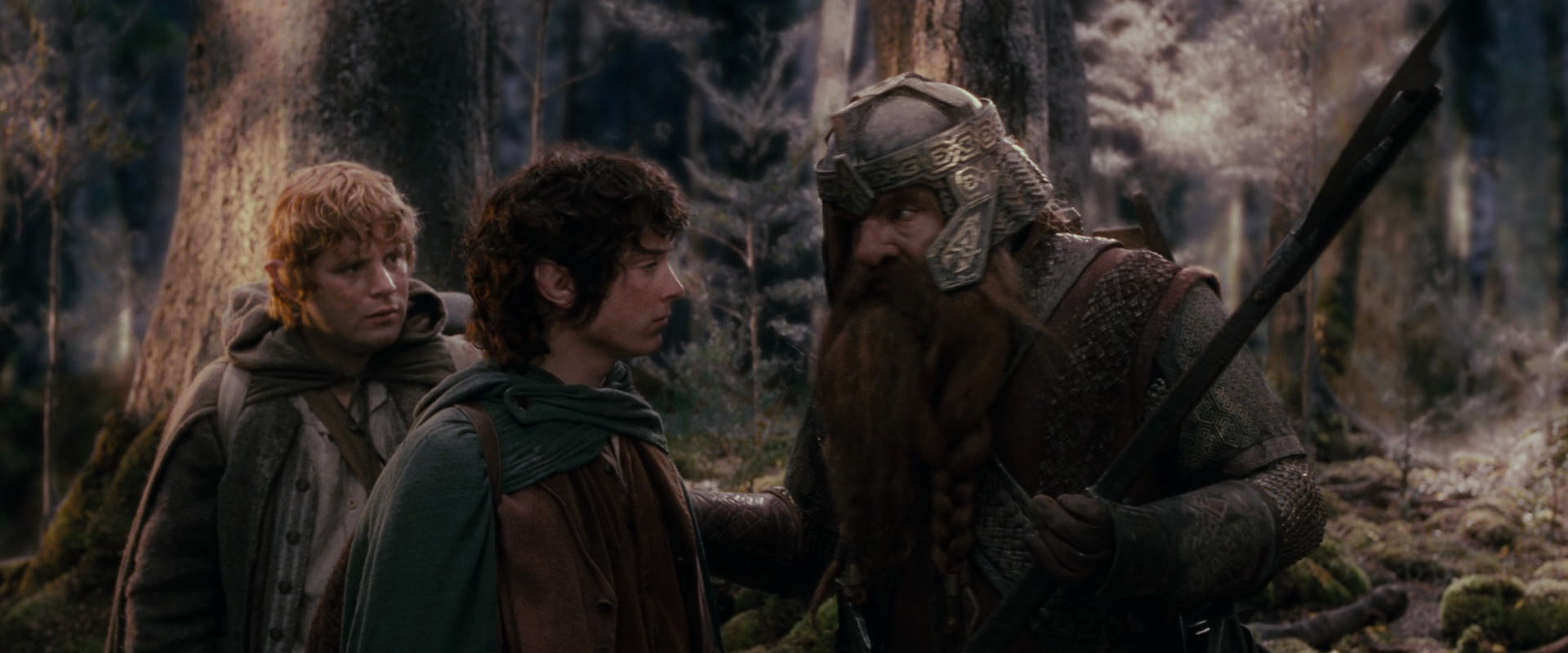 The Lord of the Rings: The Fellowship of the Ring (2001) screencap 17763